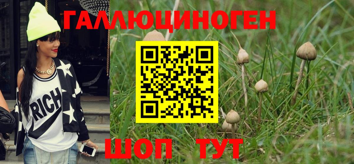 Псилоцибиновые грибы Psilocybe  Вход с VPN  Белово 